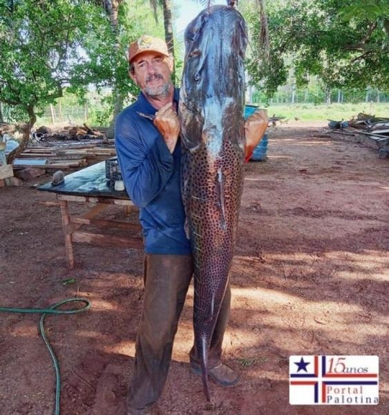 | Foto: Portal Palotina |