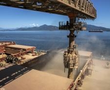 Exportações do complexo soja pelo Porto de Paranaguá crescem 25% no 1º trimestre - Foto: Claudio Neves