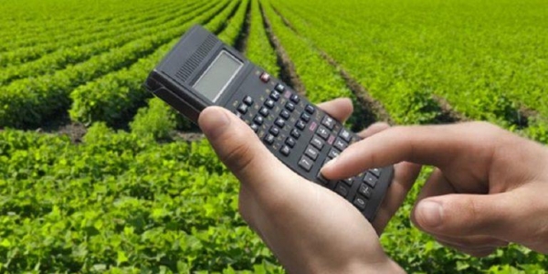 | Foto: Divulgação |