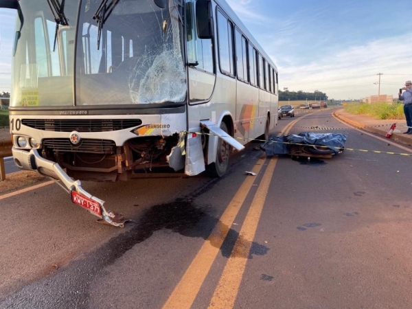 portallindeiros@gmail.com