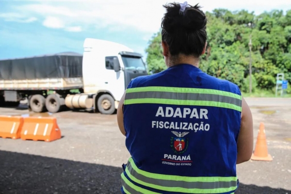 Adapar mantém busca ativa e alerta para necessidade de cadastramento de rebanhos Foto: Geraldo Bubniak/AEN
