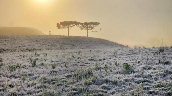 Amanhecer com geada em São Joaquim, na Serra — Foto: Mycchel Legnaghi/São Joaquim Online