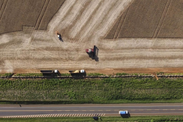 Paraná ultrapassa Rio Grande do Sul e vira quarta maior economia do Brasil Foto: Jonathan Campos/AEN