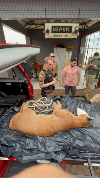 Fotos: Polícia Federal