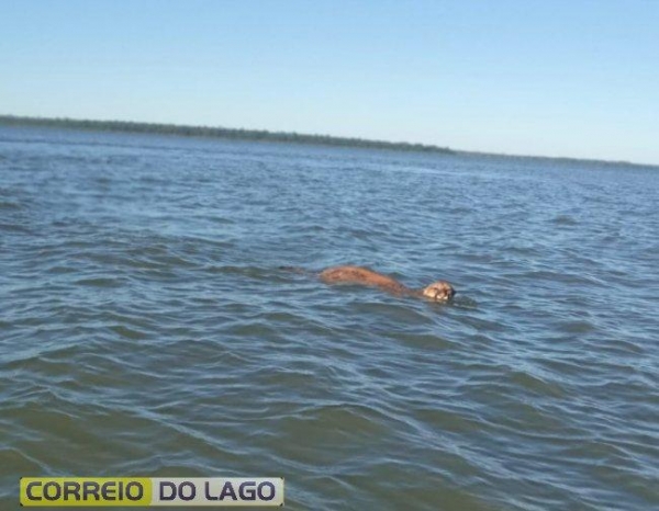 | Foto: Correio do Lago |
