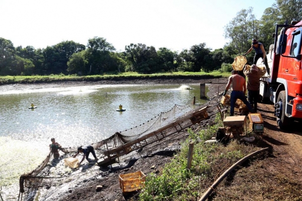 Conselho do Trabalho aprova aumento real em todas as faixas do Salário Mínimo Regional Foto: Jaelson Lucas/Arquivo AEN