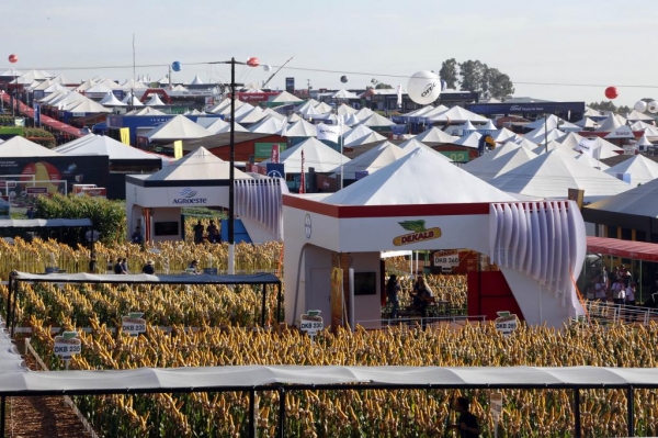 Foto: Albari Rosa/AEN