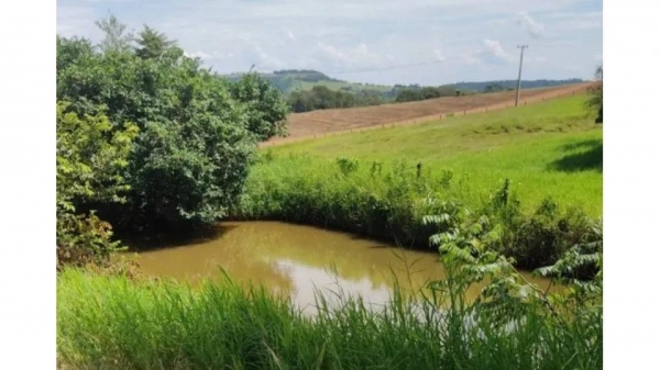 Foto: Correio do Lago