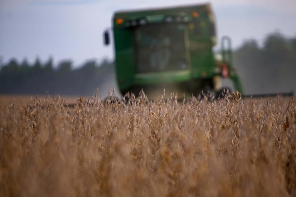 Com 22,18 milhões de toneladas estimadas, Paraná pode colher maior safra de soja da história. Na foto, colheita de Soja, Cascavel Foto: Gilson Abreu/AEN