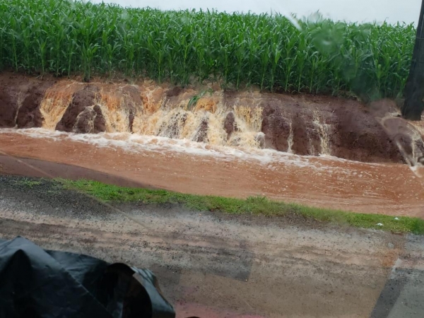 Fotos: Portal Nova Santa Rosa/Alô Santa Helena