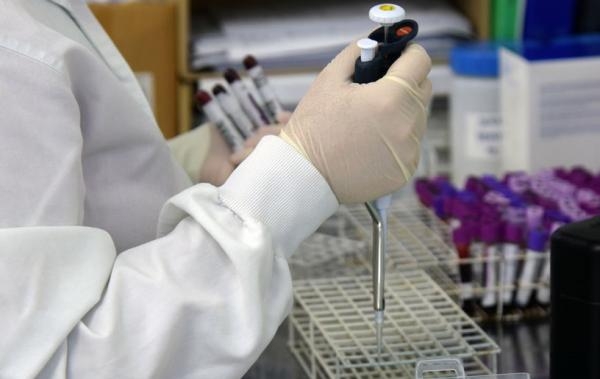 Boletim semanal divulgado ontem trouxe 2.235 novos casos e 68 óbitos (Reprodução/Sesa-PR)