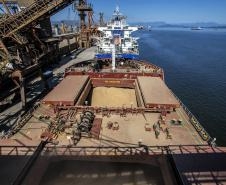 Puxadas pela soja e frango, exportações paranaenses têm melhor 1º quadrimestre da história Foto: Claudio Neves/Portos do Paraná