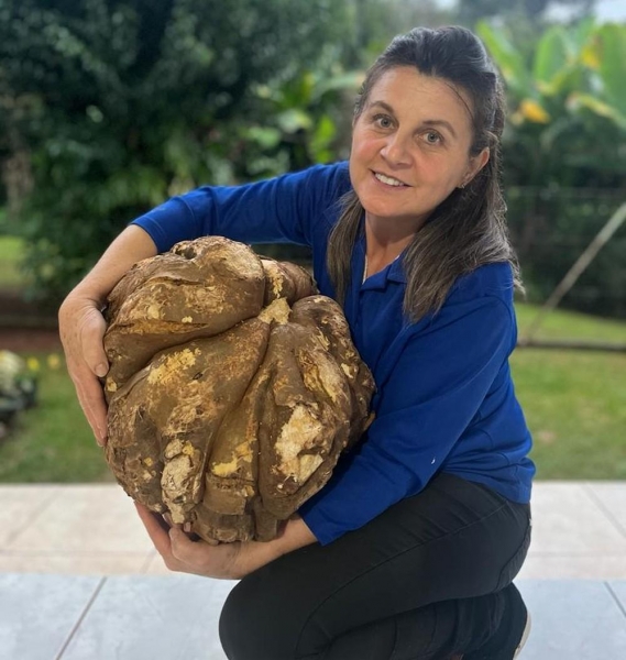 Foto: Rosmari Rios Bellei