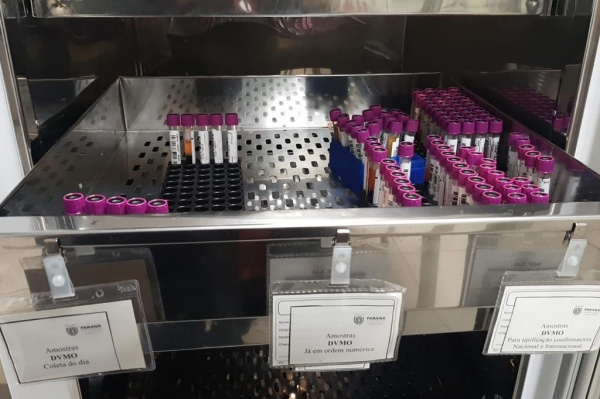 De julho a dezembro, cadastro de medula óssea no Paraná originou seis transplantes bem-sucedidos Foto: Hemepar