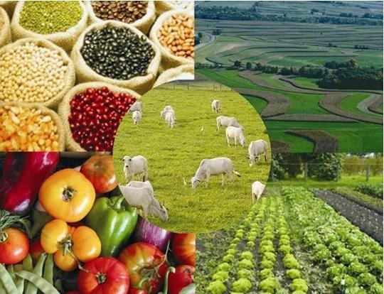 FOTO: Arquivo Portal Rondon