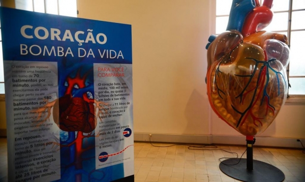Rio de Janeiro – Exposição Vias do Coração no Museu da Vida, no Castelo da Fiocruz, divulga o conhecimento sobre o coração, para estimular a prevenção das doenças cardiovasculares (Tomaz Silva/Agência Brasil)