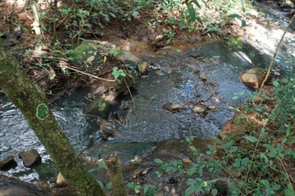 | Foto: Divulgação  |