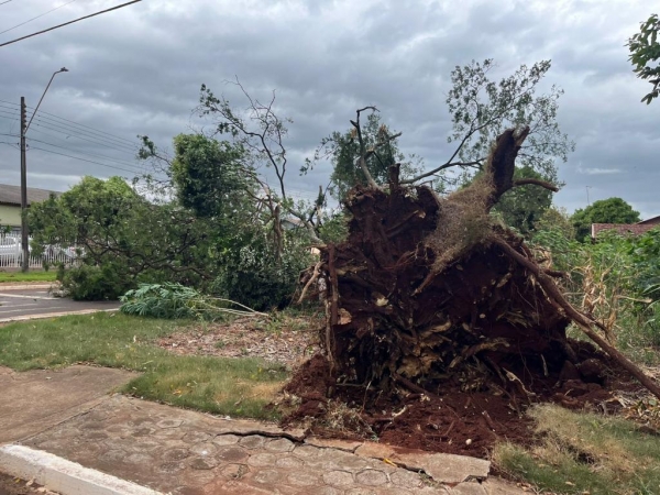 Fotos: Portal Nova Santa Rosa/Reprodução/Correio do Lago