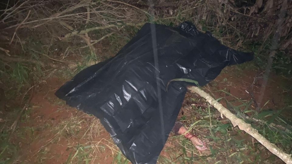 Foto: Oops Notícia Foz Ná Hora