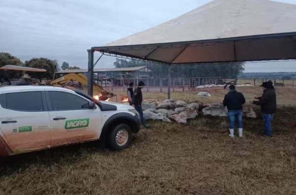 Foto: Iagro-MS/Divulgação