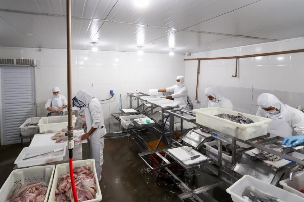 O governador em exercício Darci Piana recebeu o ministro da Pesca e Aquicultura, André de Paula, em uma visita a produtores de tilápia em Alvorada do Sul e Bela Vista do Paraíso, na região Norte do Paraná, nesta segunda-feira (15). Foto: Igor Jacinto/Vice-Governadoria