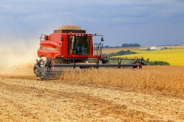 Chuvas favorecem plantio de verão; produção estimada de soja é de 22,4 milhões de toneladas Foto: Gilson Abreu/AEN