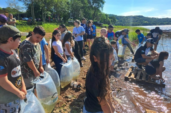 Na primeira fase do Rio Vivo, entre 2021 e 2022, foram soltos 1,1 milhão de peixes nativos no Iguaçu. Foto: SEDEST