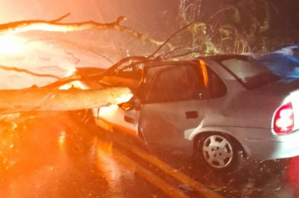 | Foto: Polícia Militar |