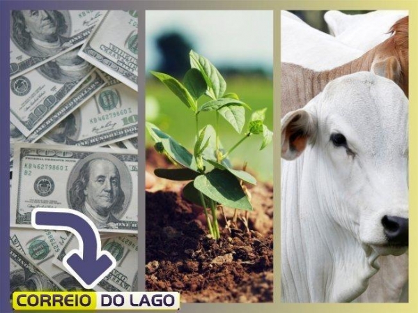 Correio do Lago
