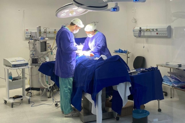 O Programa Opera Paraná, implantado pela Secretaria de Saúde em 2022, registrou entre janeiro e fevereiro 119.152 procedimentos cirúrgicos eletivos em 598 estabelecimentos de saúde do Estado Foto: SESA