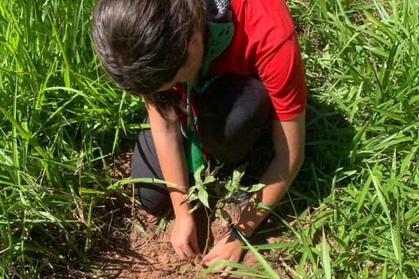 Ações para celebrar a Semana do Meio Ambiente incluem plantio de mudas, limpeza de rios e atividades educativas para conscientização da população.
