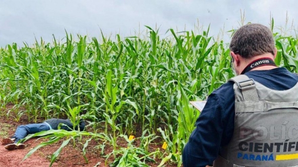 Fotos: Oops Notícia Foz Na Hora.