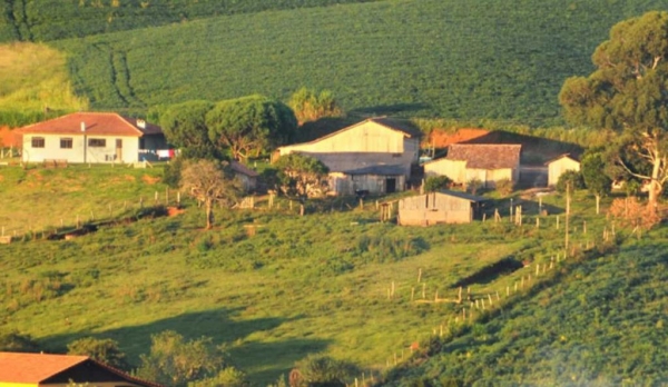Período para envio da declaração do ITR 2026 à Receita Federal começou nesta segunda-feira (10) e termina em 30 de setembro.(Foto: Divulgação/Faep)